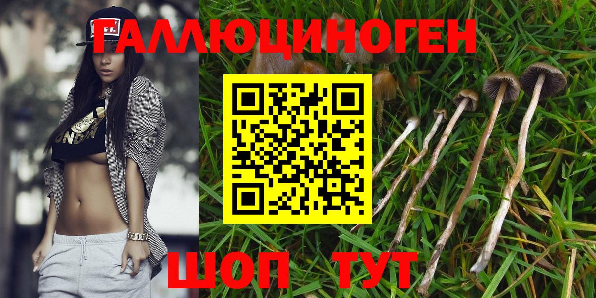 Янаул  Псилоцибиновые грибы MAGIC MUSHROOMS  Вход с VPN 
